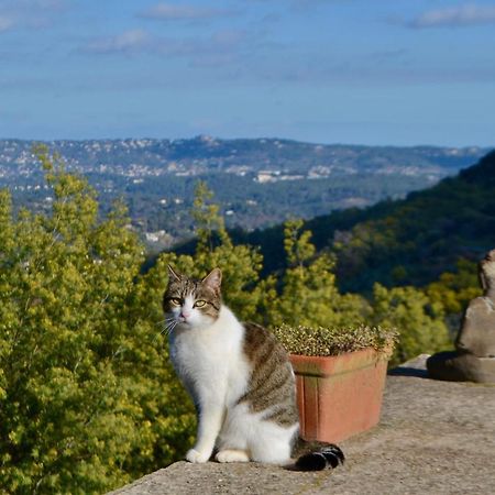 Amoureux Du Calme Et De La Nature Tanneron Exteriör bild