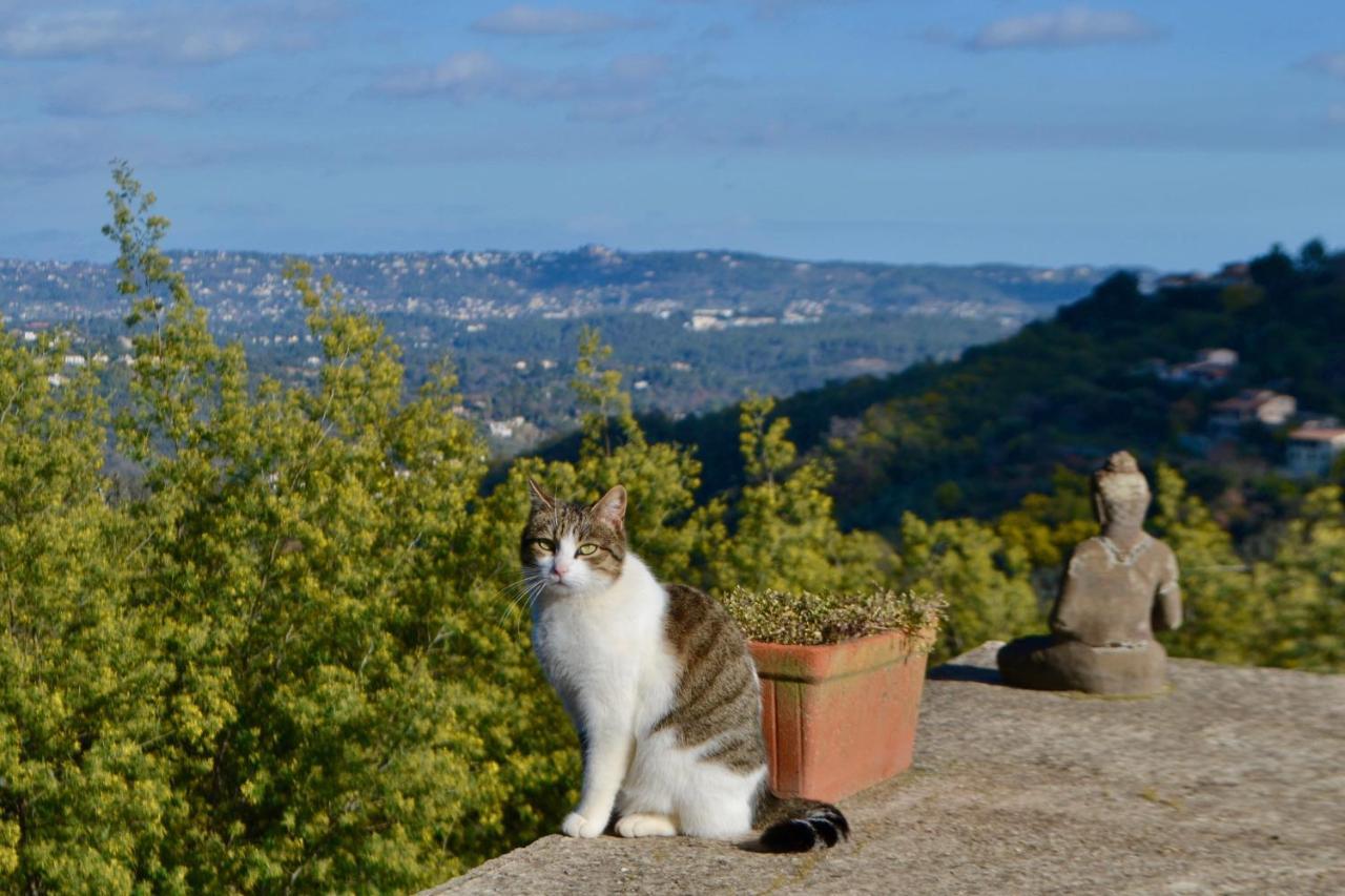 Amoureux Du Calme Et De La Nature Tanneron Exteriör bild